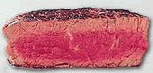 Puntos de cocinado de la carne - Carne medio hecha
