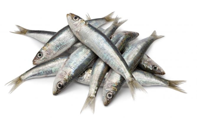 Pescados a la parrilla - sardinas