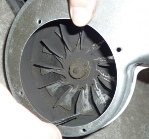 Reciclado cenizas chimenea - BLOG Todo Chimeneas