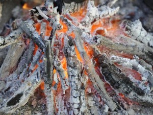 Reciclado cenizas chimenea - BLOG Todo Chimeneas